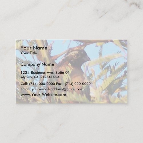 Masked Bob White Quail Business Card Template