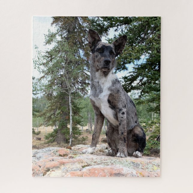 Masked Brindle Cattle Dog Observes Scene Jigsaw Puzzle (Vertical)