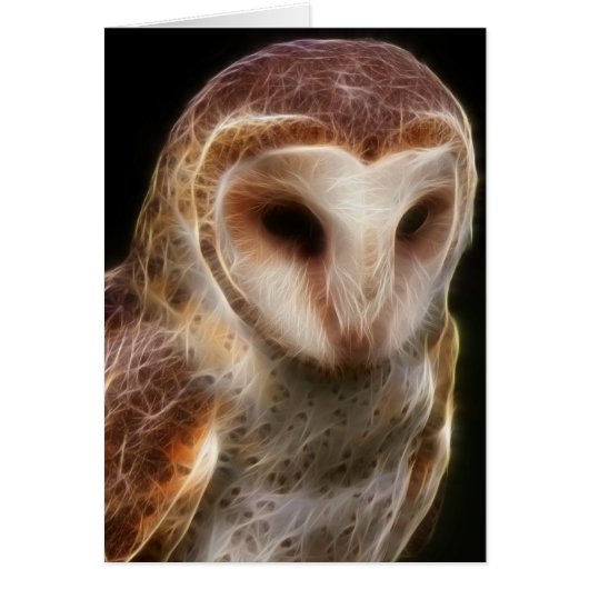 Masked Owl Fractal Cards (Front)