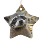 Masked Raccoon Ornament