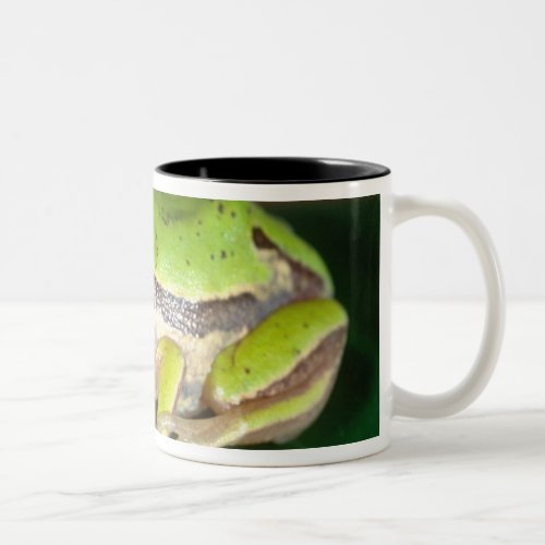 Masked Treefrog Smilisca baudini  Native to Two_Tone Coffee Mug