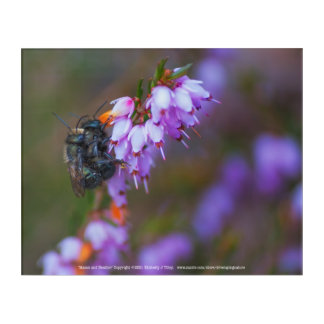 Mason and Heather Acrylic Print