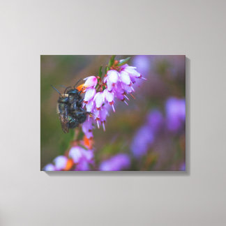 Mason and Heather Canvas Print