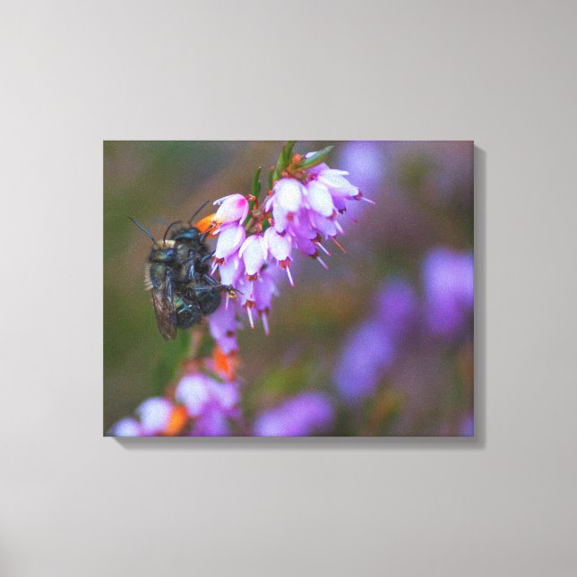 Mason and Heather Canvas Print (Front)