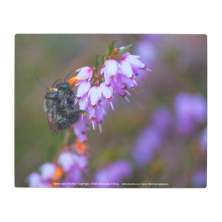 Mason and Heather Metal Print