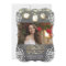 Mason Jar Lights Rustic Photo Graduation Party