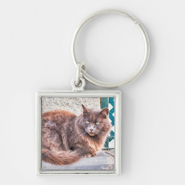Maspalomas Cat Keychain (Front)