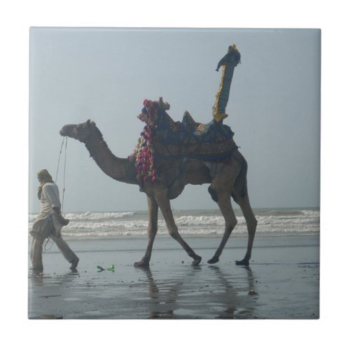 Masqat Majesty Adorned Camel Beach Safari in Oman Ceramic Tile