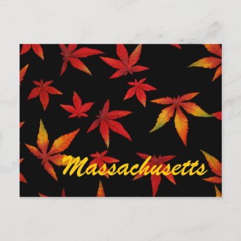 Massachusetts Autumn Leaves Postcard by duhlar at Zazzle