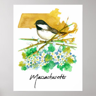 Massachusetts Bird Chickadee Willow Branches Poster