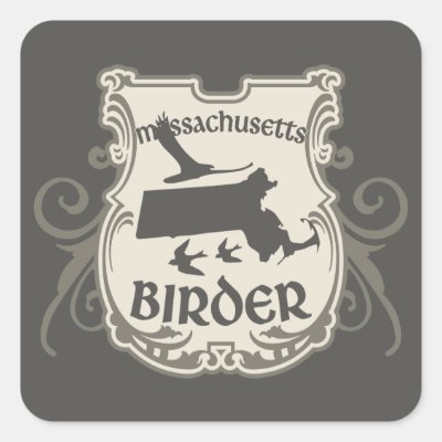 Massachusetts Birder Square Sticker