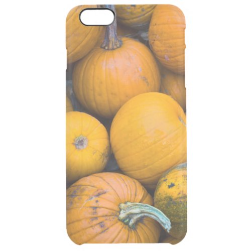 Massachusetts Salisbury pumpkins autumn Clear iPhone 6 Plus Case