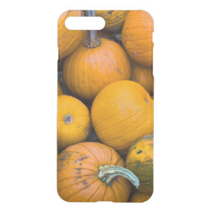 Massachusetts, Salisbury, pumpkins, autumn iPhone 8 Plus/7 Plus Case