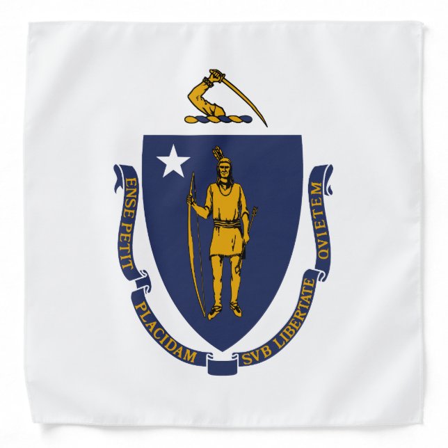 Massachusetts State Flag Bandana (Front)