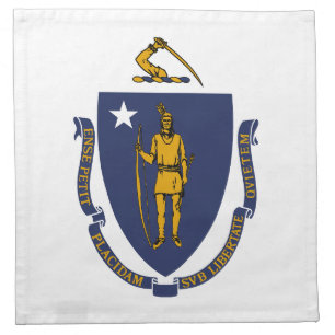 Massachusetts State Flag Cloth Napkin
