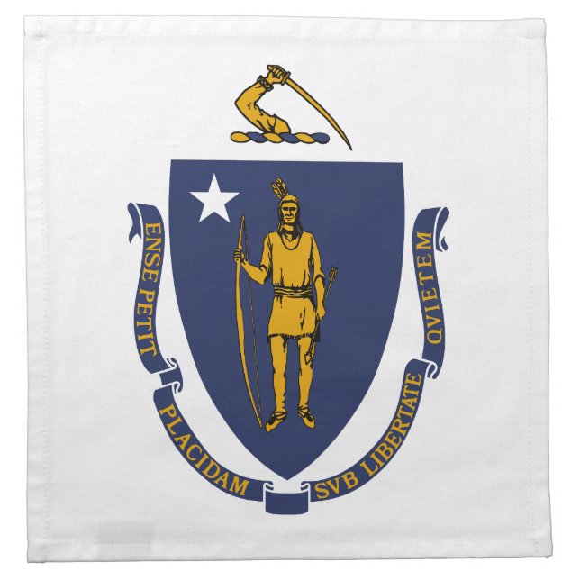 Massachusetts State Flag Cloth Napkin (Front)