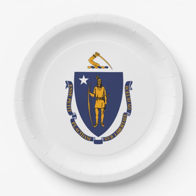Massachusetts State Flag Design Paper Plates (Front)