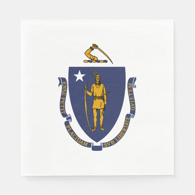 Massachusetts State Flag Napkins (Front)