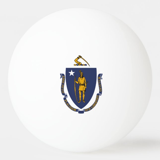 Massachusetts State Flag Ping Pong Ball (Front)