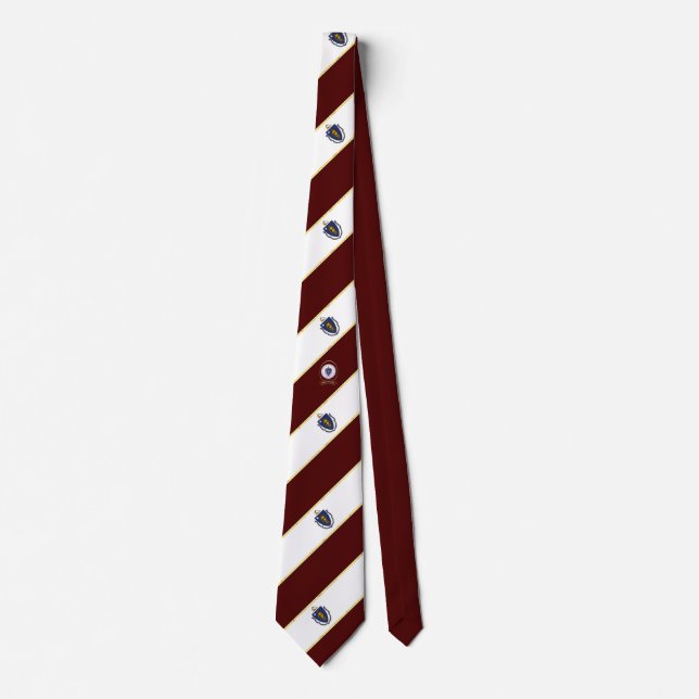 Massachusetts stripes flag neck tie (Front)