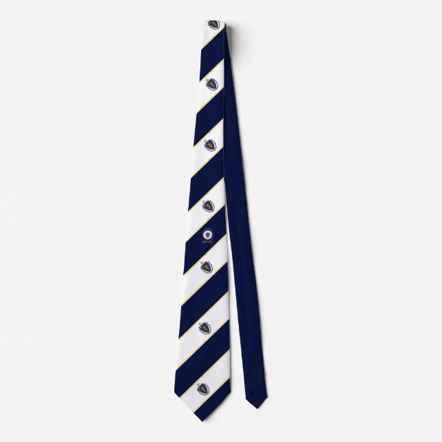 Massachusetts stripes flag neck tie (Front)