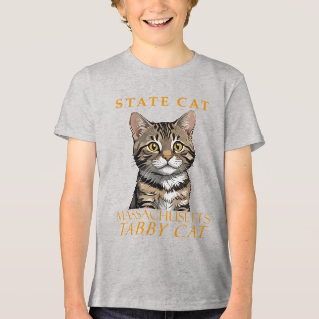 Massachusetts Territory Cat The Tabby Cat Tri-Blend Shirt (Front)