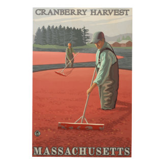 MassachusettsCranberry Bog Harvest Wood Wall Decor