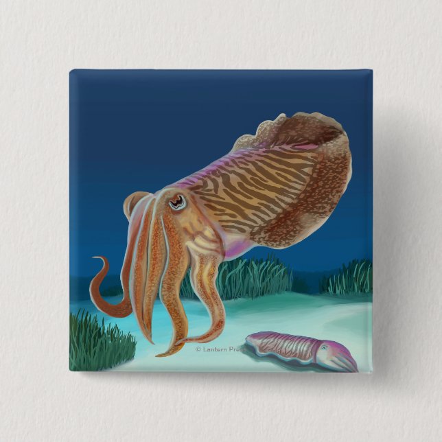 MassachusettsCuttlefish Scene Pinback Button (Front)