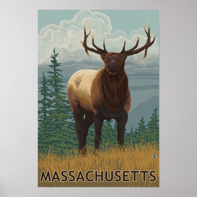 MassachusettsElk Scene Poster (Front)