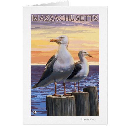MassachusettsSea Gulls Scene Cards (Front)