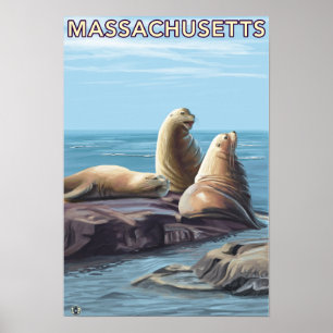 MassachusettsSea Lions Scene Poster