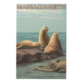MassachusettsSea Lions Scene Wood Wall Art