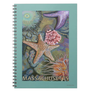 MassachusettsTidepool Scene Notebook