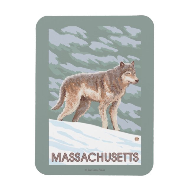 MassachusettsWolf Scene Magnet (Vertical)