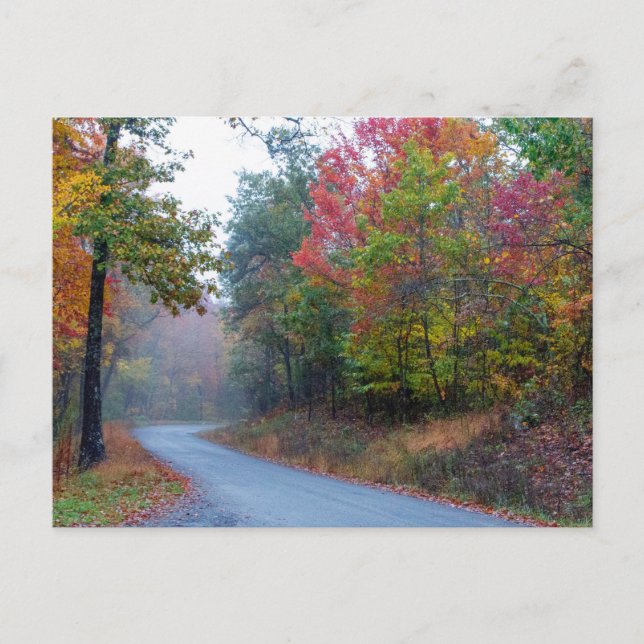 Massanutten Scenic Drive in Autumn, Virginia Postcard (Front)