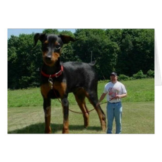 Massive Dog Cards