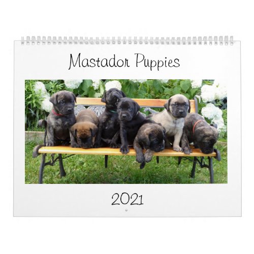 Mastador Puppies Calendar
