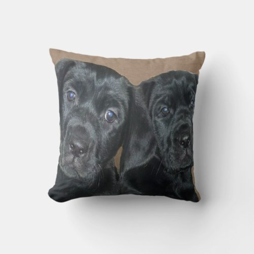 Mastador Puppies Pillow