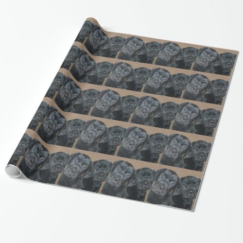 Mastadors Tootsie  Chickie Wrapping Paper