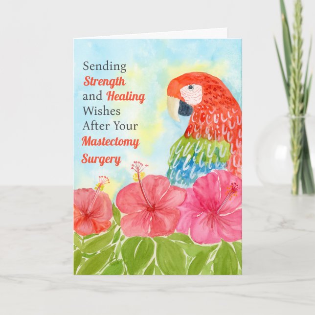 Mastectomy Healing Scarlet Macaws, Hibiscus Card (Front)