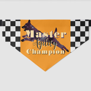 Master Agility Champion Black And Gold Pet Bandana Collar