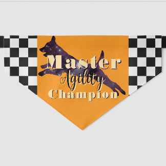 Master Agility Champion Black And Gold Pet Bandana Collar