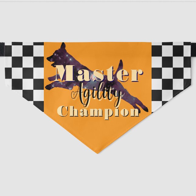 Master Agility Champion Black And Gold Pet Bandana Collar (Front)