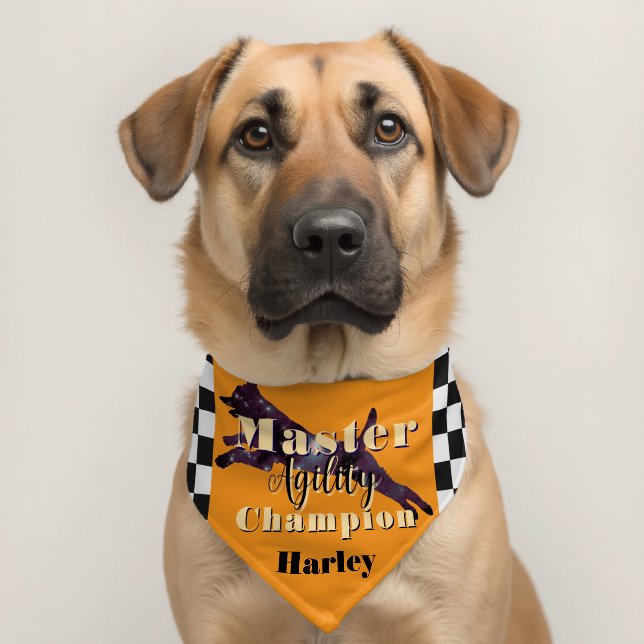 Master Agility Champion Black Gold personalized Pet Bandana Collar (Dog 2)