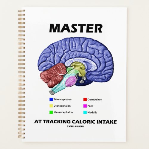 Master At Tracking Caloric Intake Brain Attitude Planner