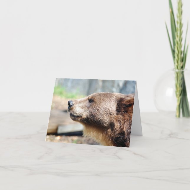 Master Bruin Card (Front)