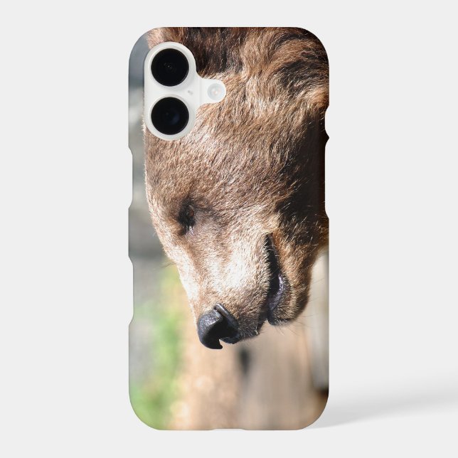 Master Bruin... Iphone Case (Back)