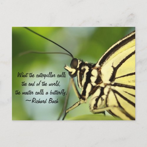 Master Butterfly Photo and quote Postcard
