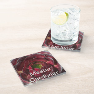 Master Gardener Coastal Plant Photo Red Succulent  Glass Coaster