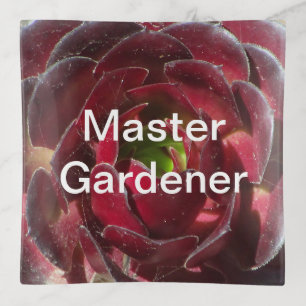 Master Gardener Coastal Plant Photo Red Succulent Trinket Tray